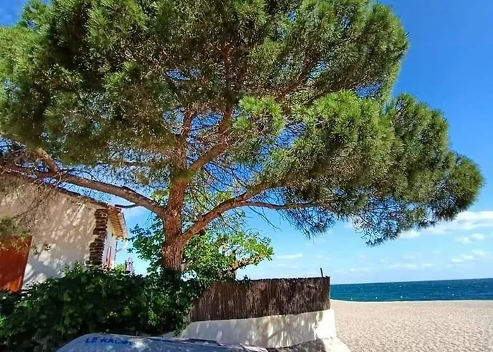 Lägenhet 4 Pers Avec Terrasse, Vue Montagne, Parking, Animaux Admis - Fr-1-776-39