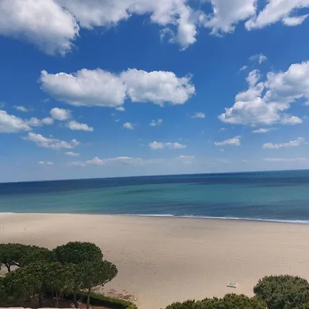 4 Pers Avec Terrasse, Parking Et Wifi A 500m De La - Fr-1-776-39 Argeles-sur-Mer