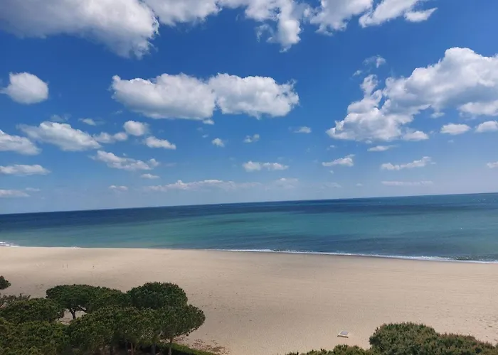 4 Pers Avec Terrasse, Vue Montagne, Parking, Animaux Admis - Fr-1-776-39 Argelès-sur-Mer
